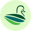 AVIA