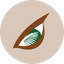 BWPT