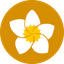 HOTL
