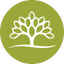 IFII