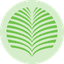 SSMS