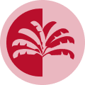 WICO icon