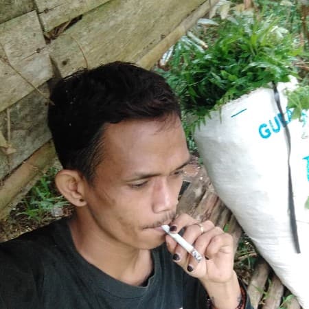 GANI371