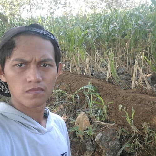 WAHYU546