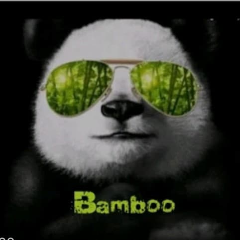 Bamboo26