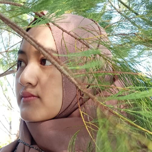 nindyarista