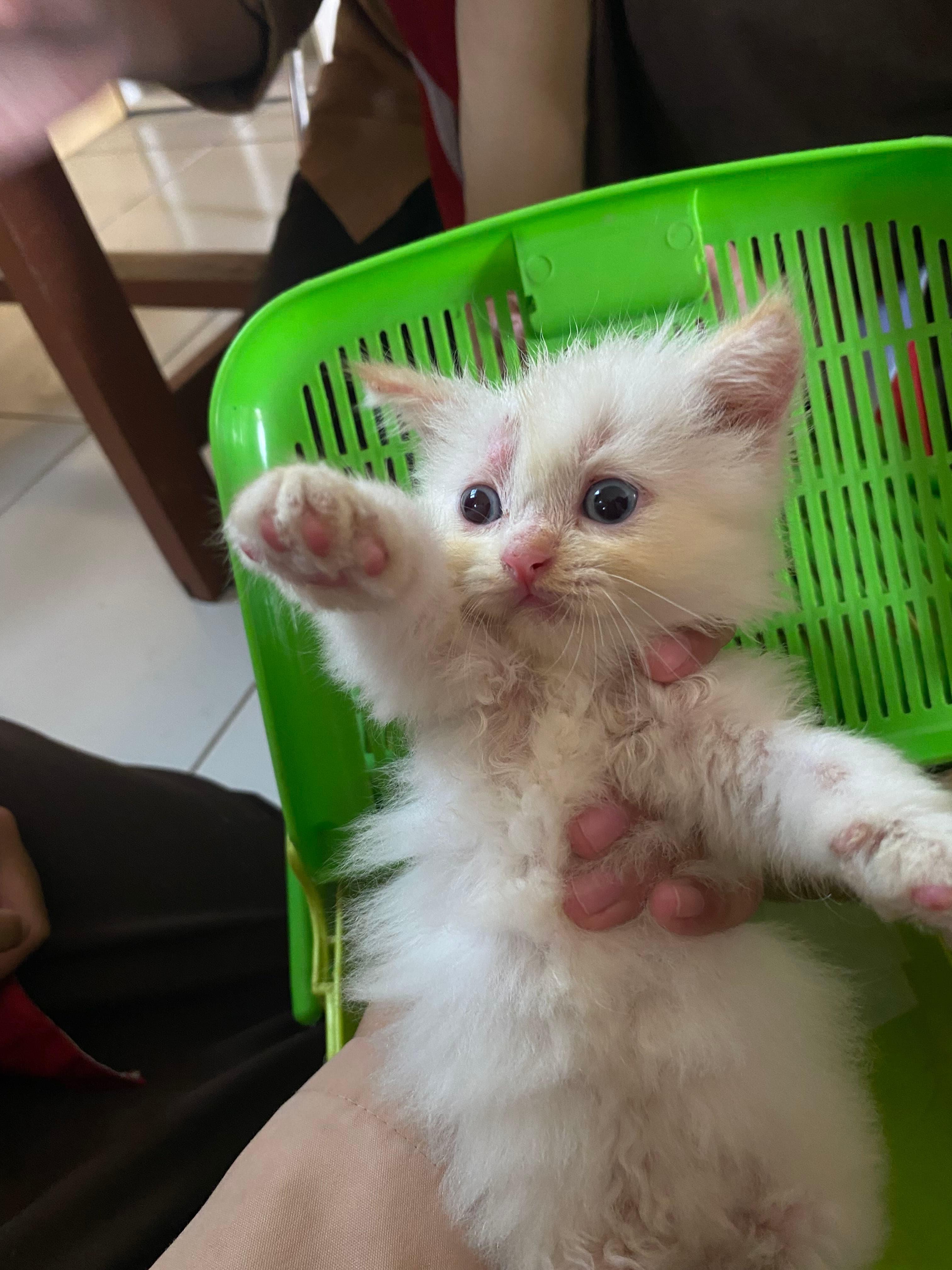 kiru