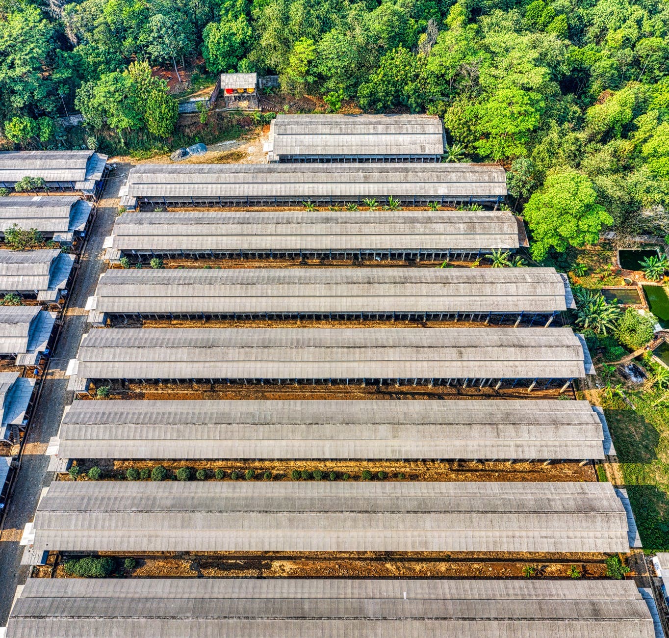 3 Bekal Penting Sebelum Beli Saham SMCB