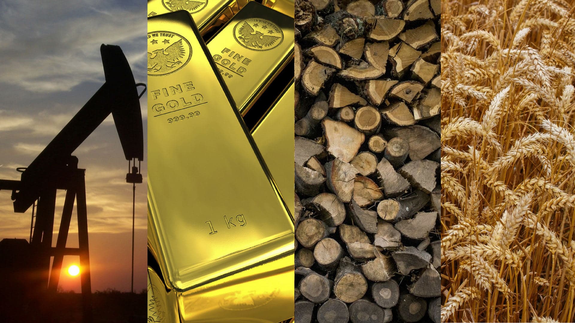 Bursa Komoditas Adalah Salah Satu Penopang Kebutuhan Hidup