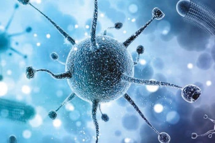 Ini Dampak Virus Corona Bagi Sektor Perekonomian