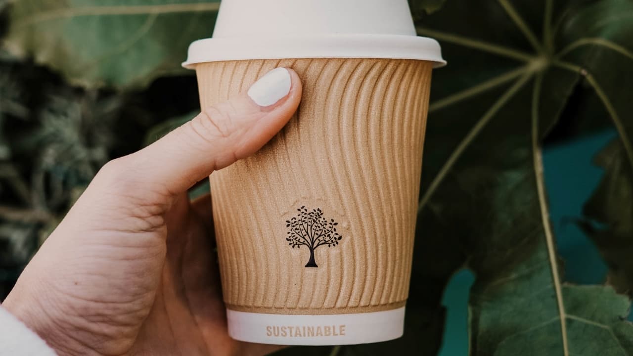 4 Cara Selamatkan Alam Melalui Go Green, Apa Saja?