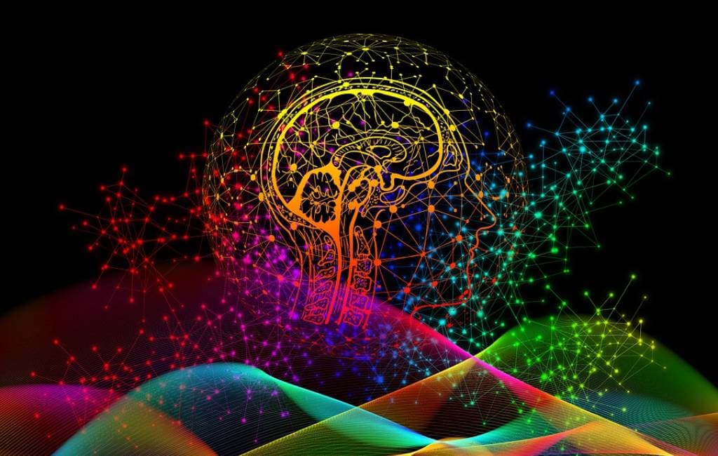 Bekerja dengan Sistem Otak: 5 Langkah untuk Finansial Lebih Baik