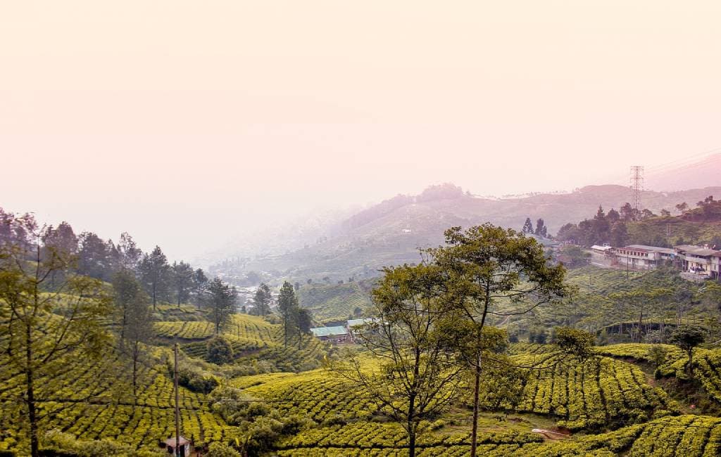 Wisata Bogor, Keindahan Alam Kelas 1 Kini Hibernasi