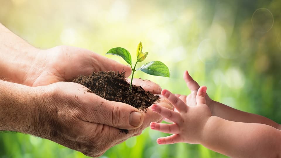 Pembagian Warisan: Tips Agar Tidak Terjadi Konflik Keluarga