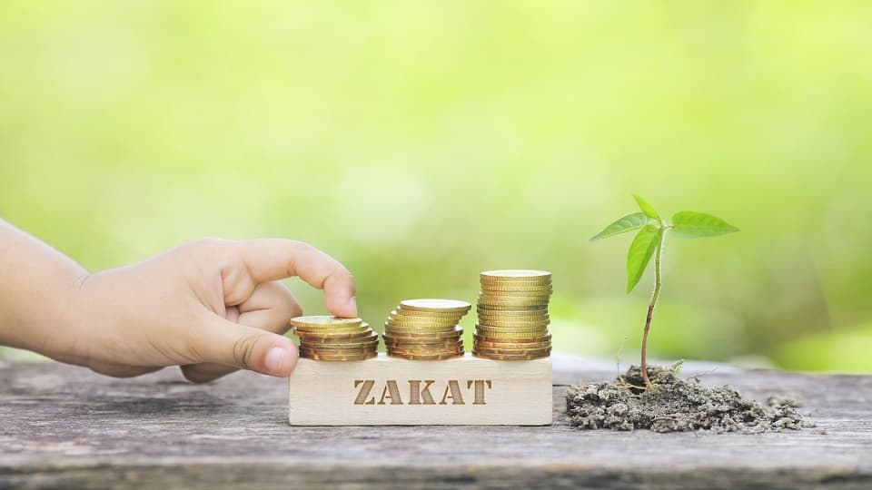 Memahami Dasar Hukum dan Ketentuan dari Zakat Profesi