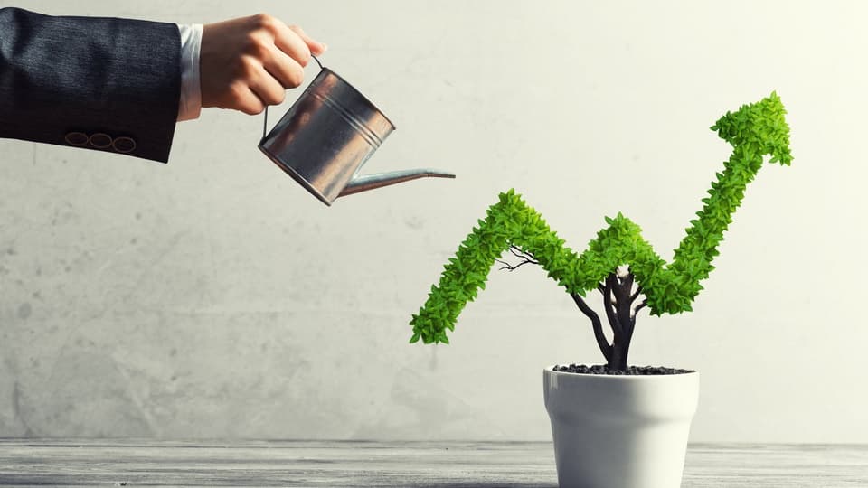 Strategi Tanam Saham untuk Investor Pemula