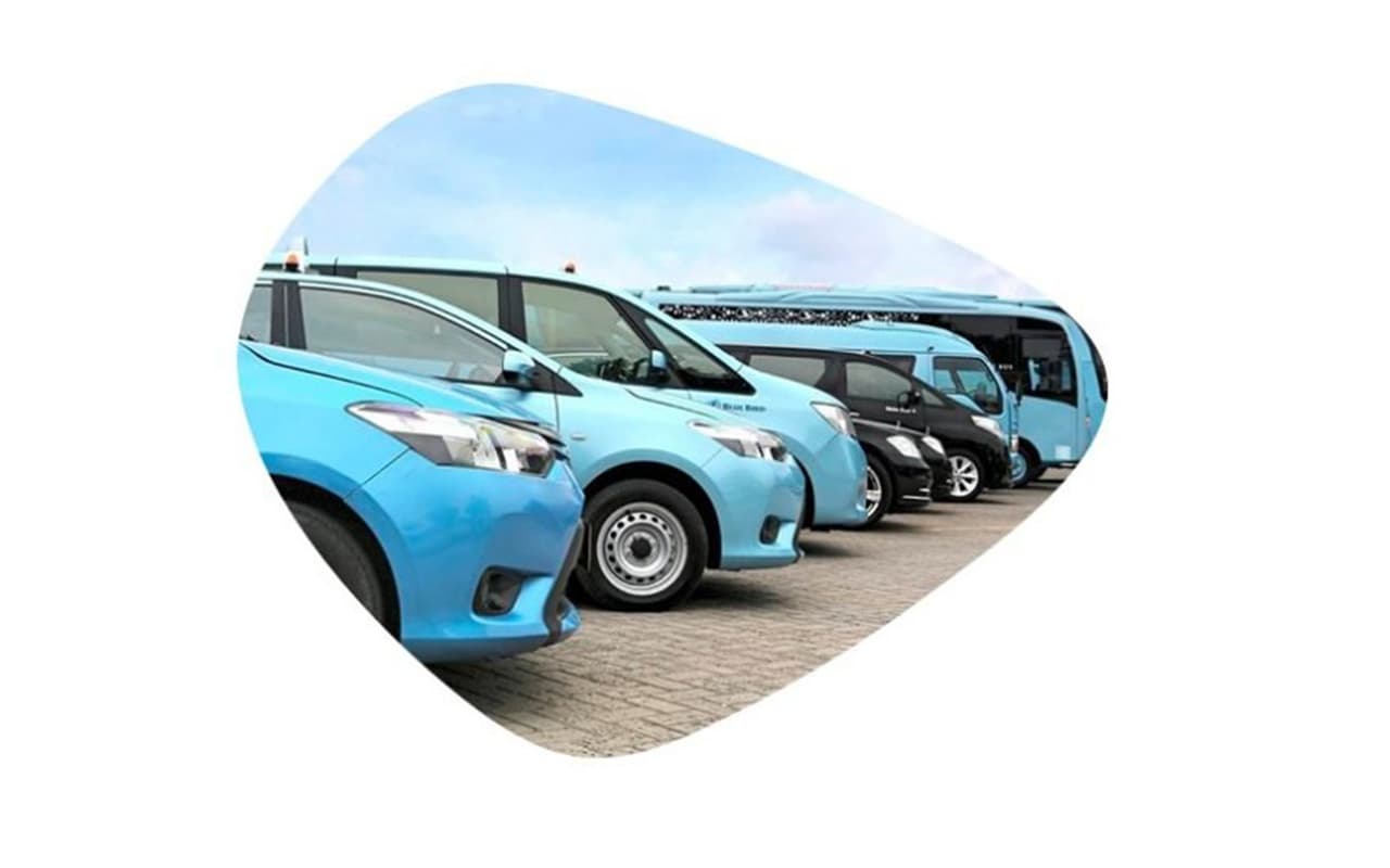 Bedah Saham BIRD, Layak Dikoleksi di 2024?