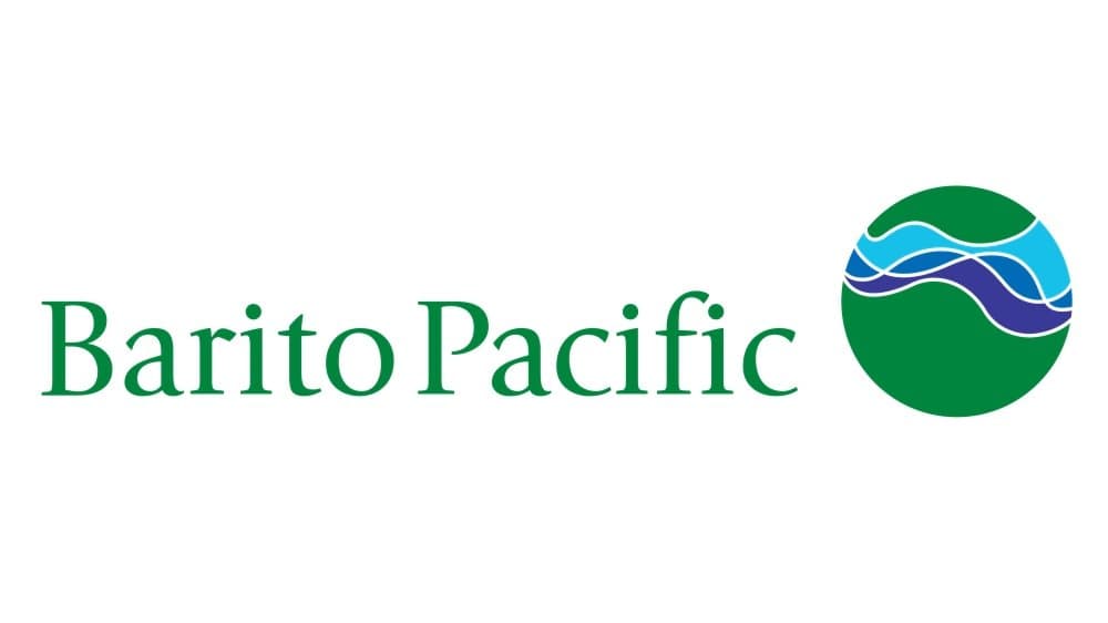 Saham BRPT, Emiten Pembangkit Listrik & Petrokimia di 2024