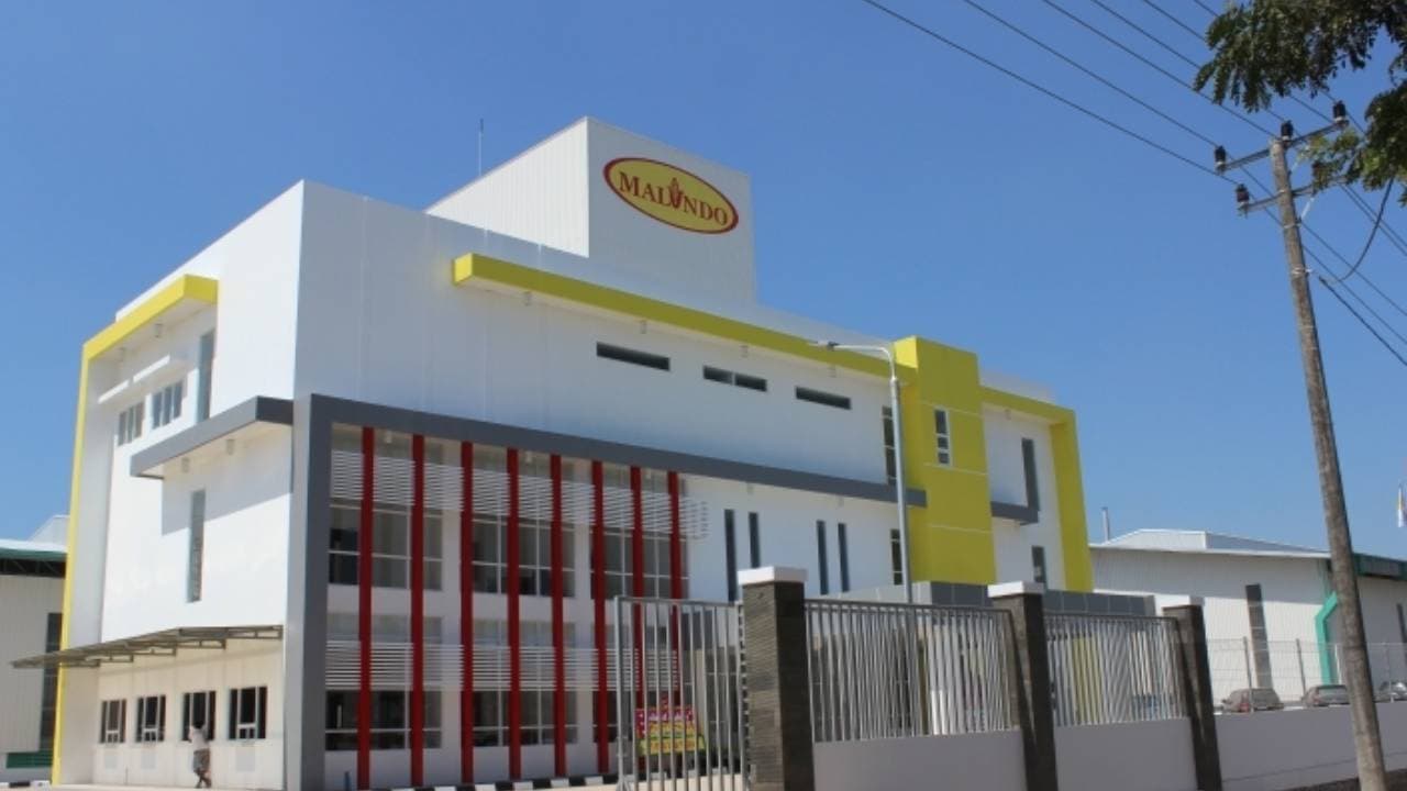 Saham MAIN, Emiten Industri Pakan Ternak Layak Koleksi?