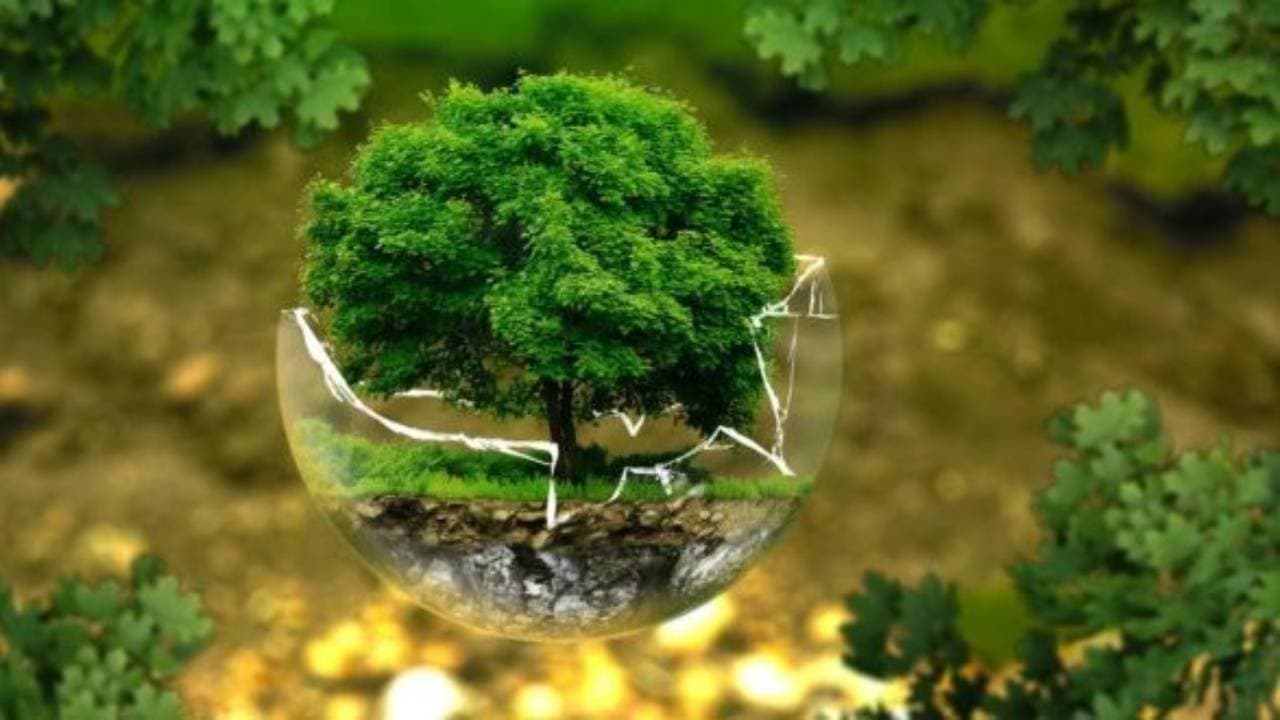 Pengertian Amdal, Fungsi dan Manfaatnya bagi Masyarakat Luas