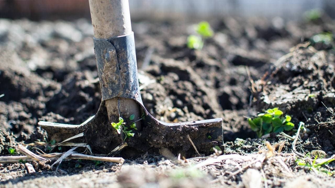 Melihat Peluang Bisnis Sektor Agribisnis yang Menjanjikan