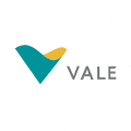 VALE icon