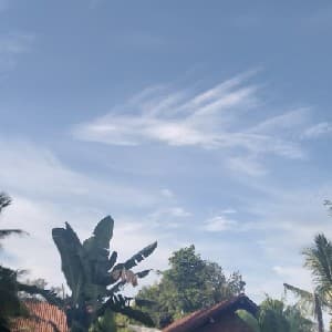 InvestorAjaib5B7AEA93