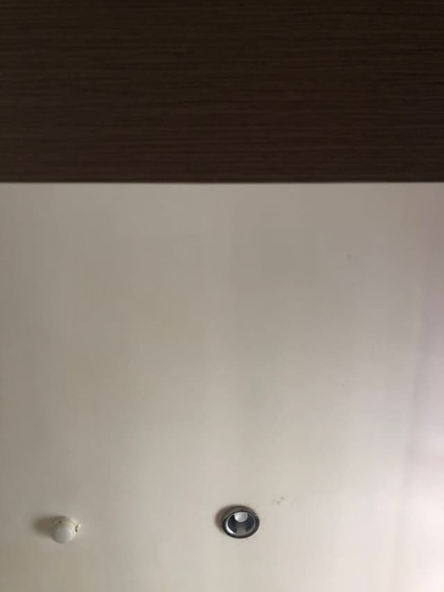 Feed