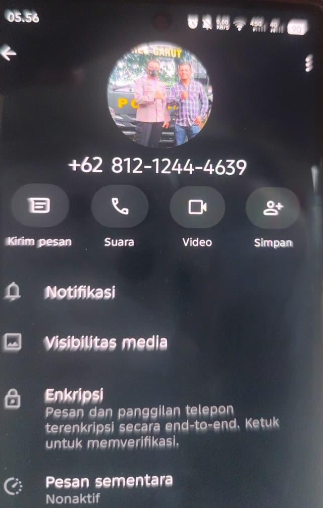 Feed