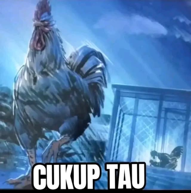 Feed