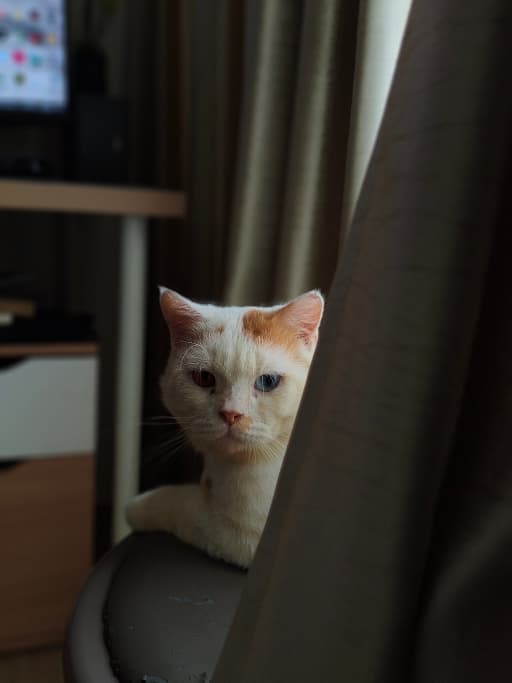 BabanNuna