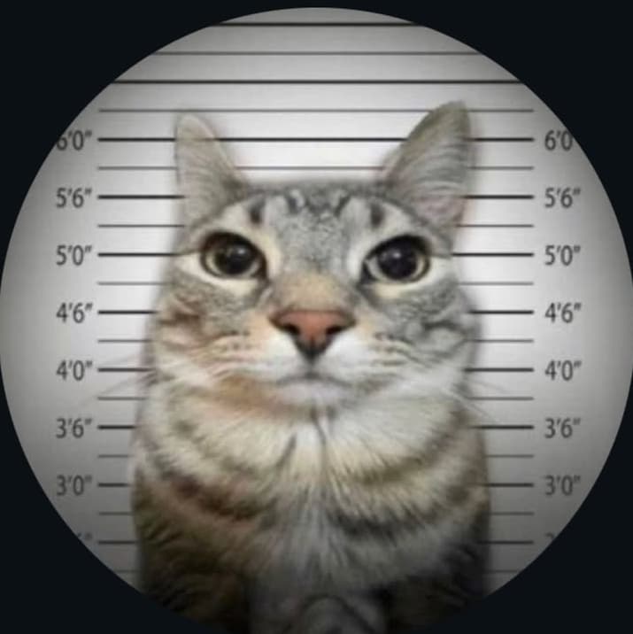 misterjo