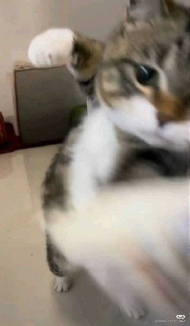 rzzzt
