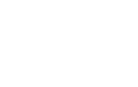 Award 5