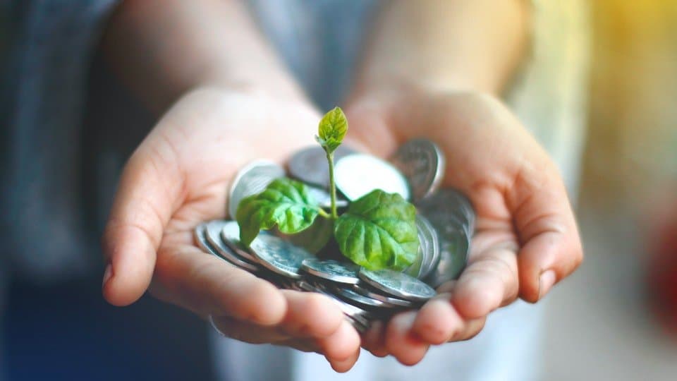 3 Rekomendasi Reksa Dana Terbaik untuk Pemula