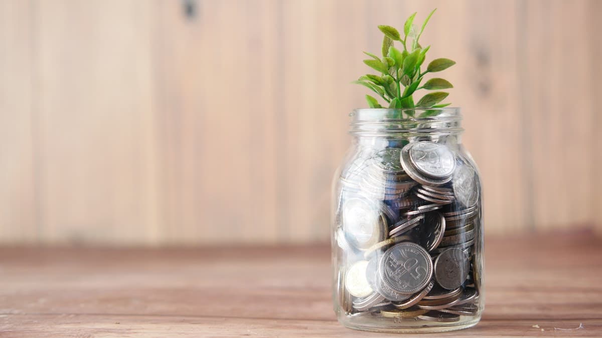 Strategi Mengelola Portofolio Reksa Dana agar Tetap Optimal saat BI Rate Naik