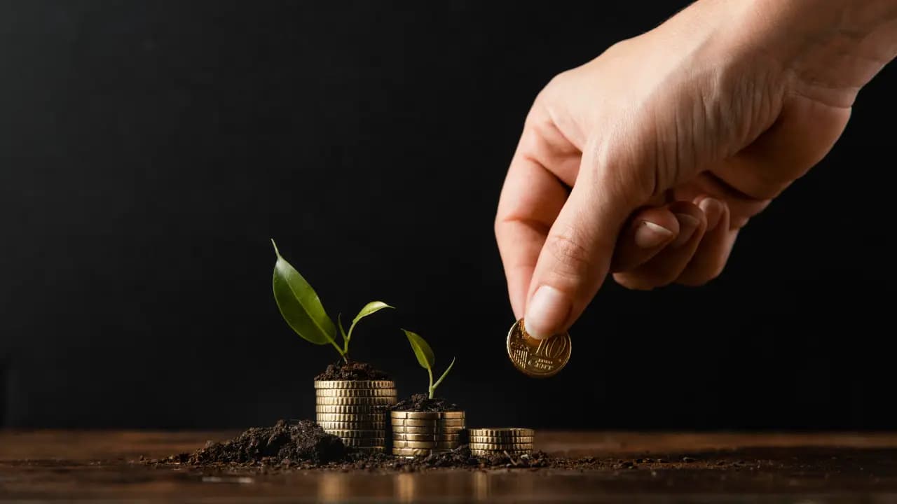 Apa Itu Drawdown Reksadana? Panduan Memahami Risiko Sebelum Berinvestasi