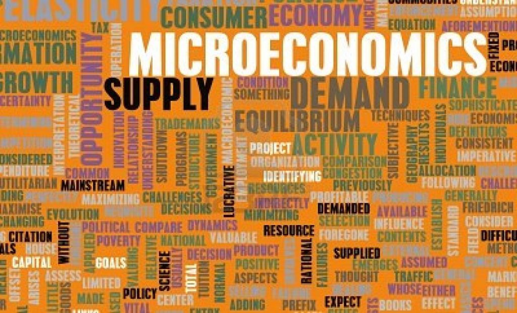 pengertian ekonomi mikro